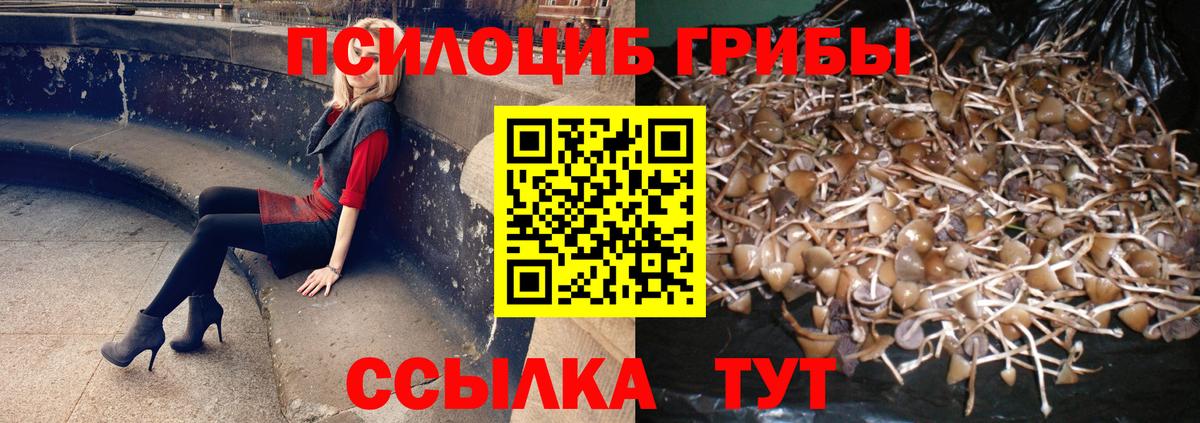 Псилоцибиновые грибы GOLDEN TEACHER Тихвин