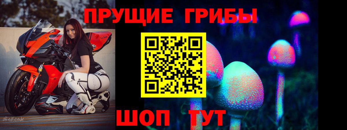 Тихвин  хочу   Вход с VPN  Галлюциногенные грибы мухоморы 